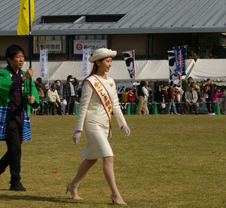 IMGP8339.JPG